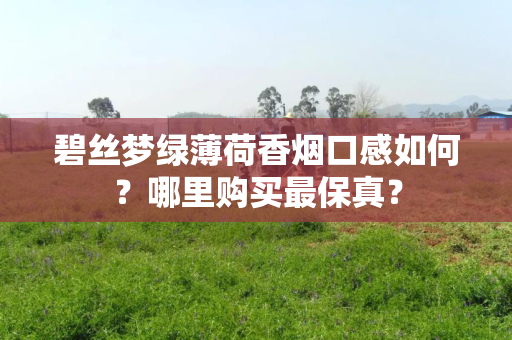 碧丝梦绿薄荷香烟口感如何？哪里购买最保真？