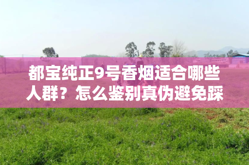 都宝纯正9号香烟适合哪些人群？怎么鉴别真伪避免踩坑？